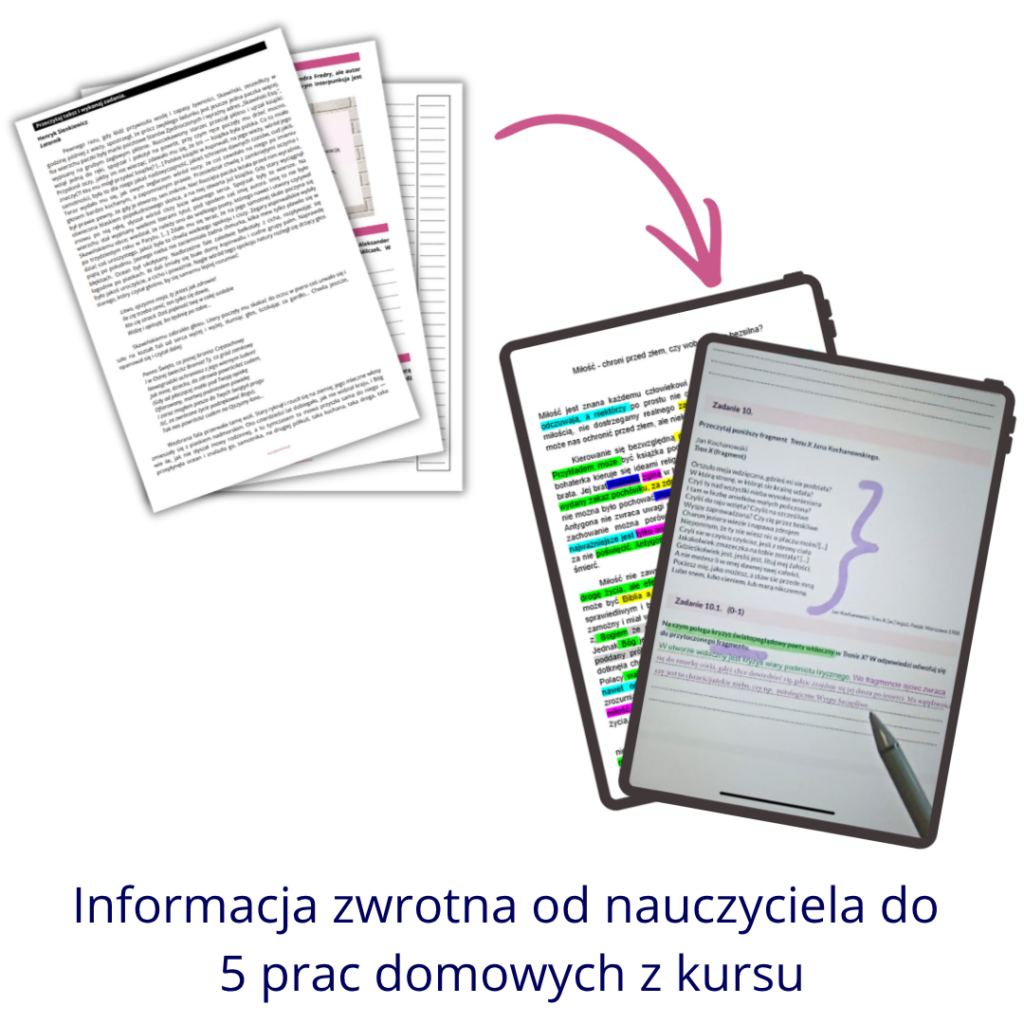 najlepszy kurs ósmoklasisty z polskiego 2027 kursy konkret e8 polski korepetycje do egzaminu (15)